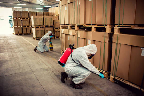Flea Control Services in West Point, GA