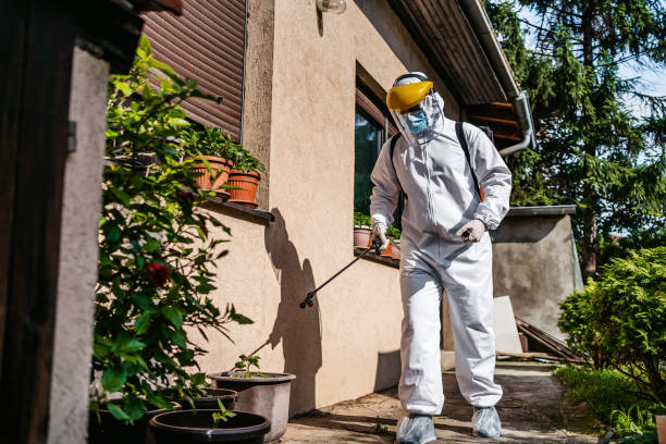 Best Affordable Pest Control Services  in West Point, GA