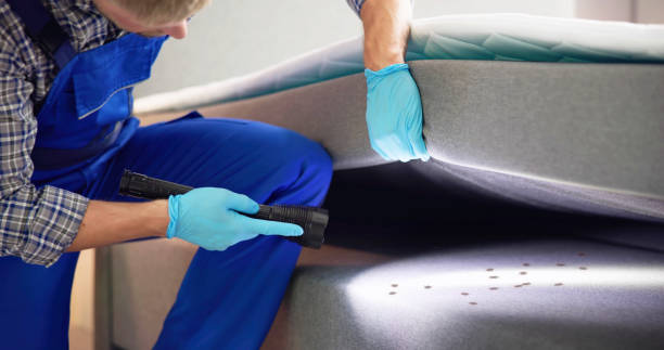 Best Pest Inspection Near Me  in West Point, GA