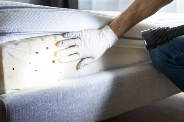 Pest Prevention Services in West Point, GA